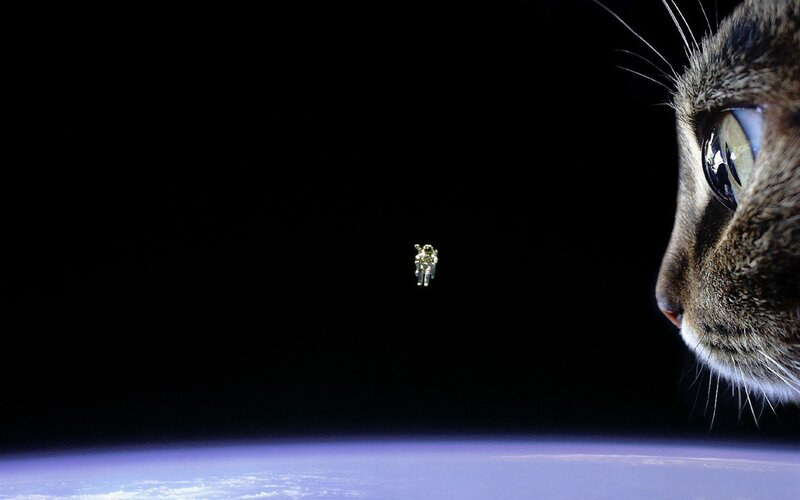 Cat and Astronaut in Space — Black, Dramatic