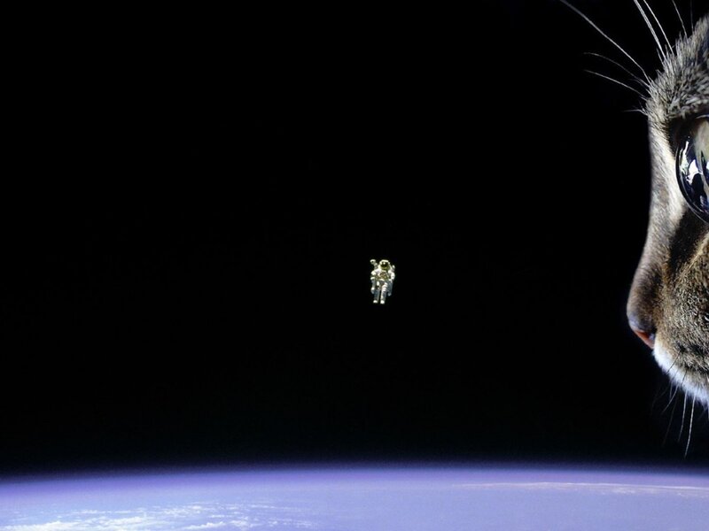 Cat and Astronaut in Space — Black