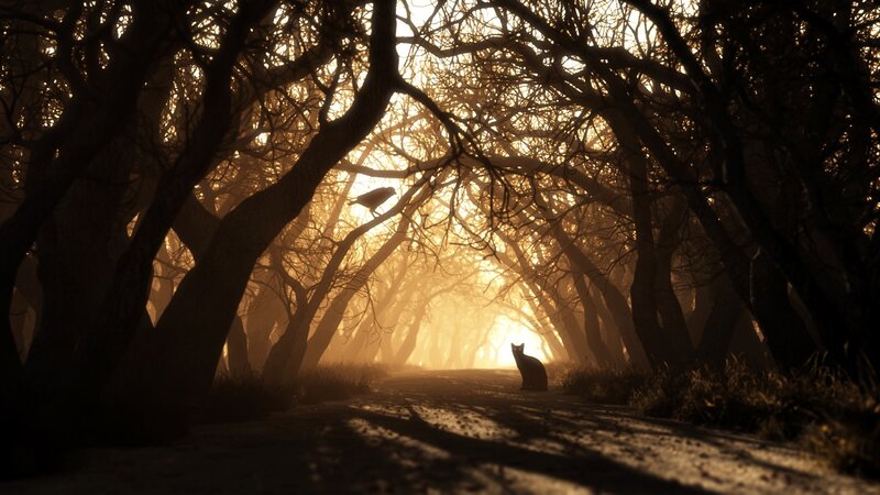 Cat and Bird in Forest — Brown, Dramatic