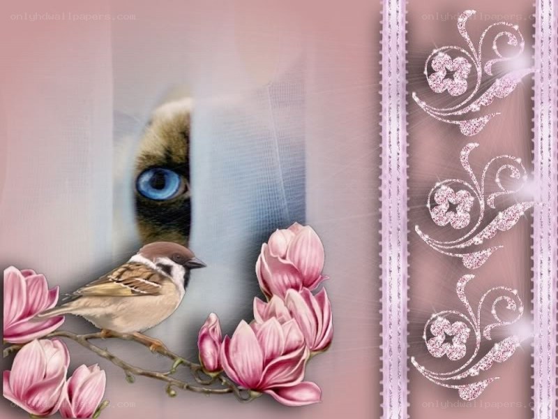 cat and bird with flowers