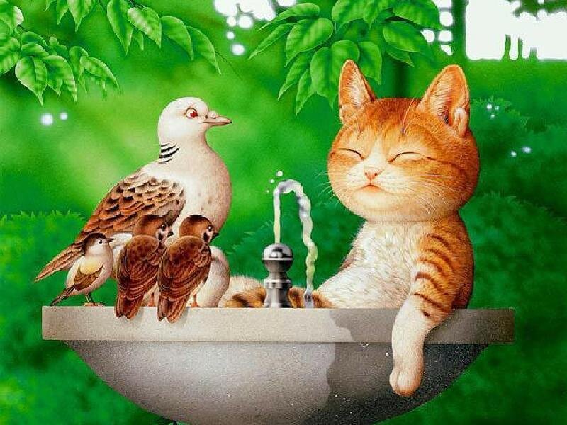 Cat and birds at a fountain