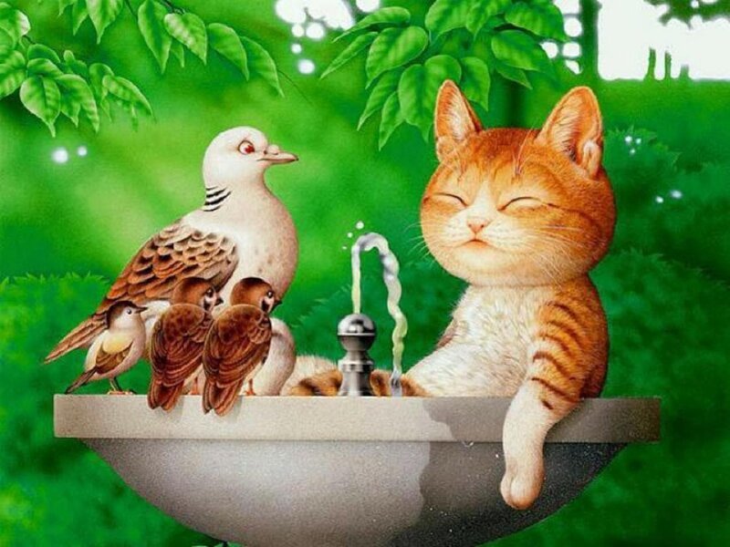 Cat and Birds in Sink