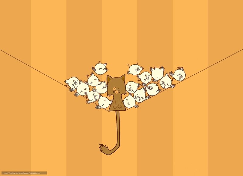 cat and birds on a wire