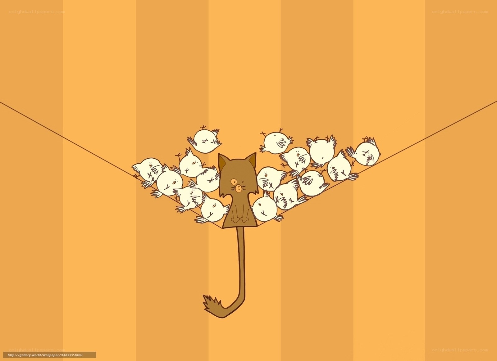 cat and birds on a wire