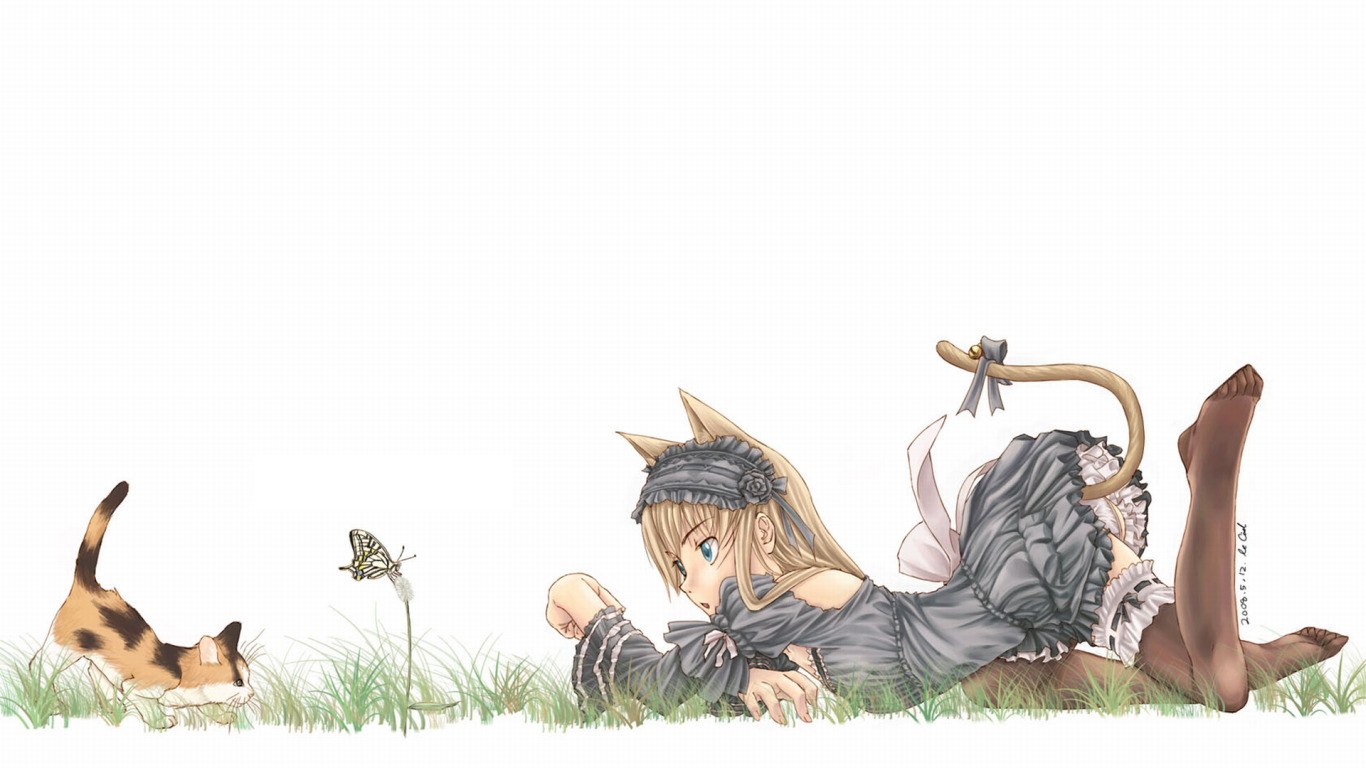 cat and butterfly in the grass