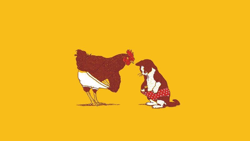 cat and chicken in underwear