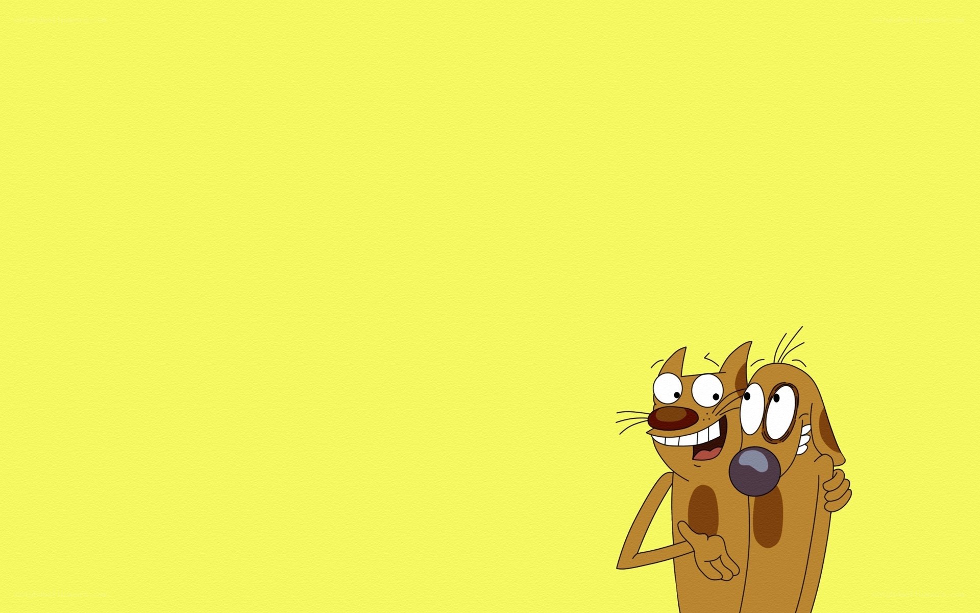 Cat and dog cartoon characters