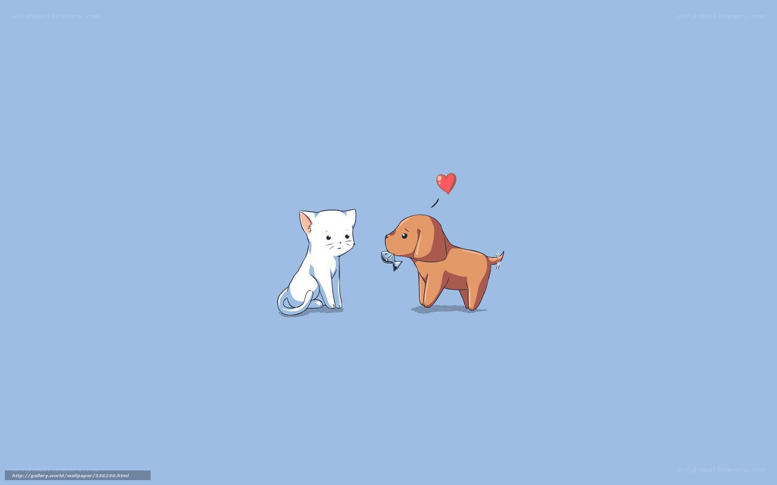 cat and dog friendship