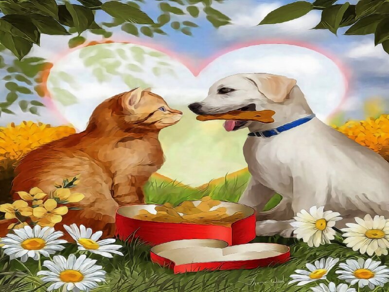 Cat and Dog in Field — Green