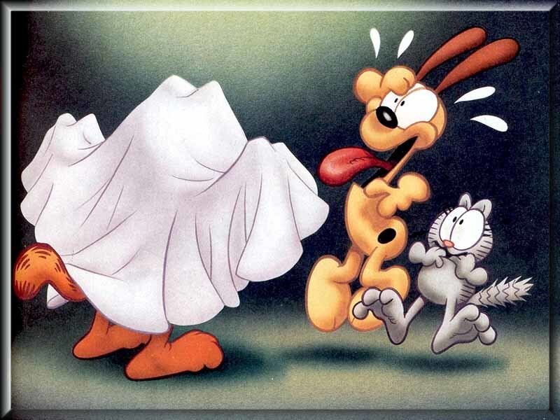 Cat and Dog in Ghost Costume