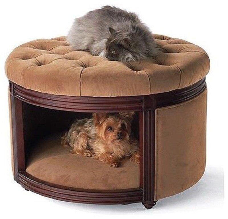 Cat and Dog in Ottoman