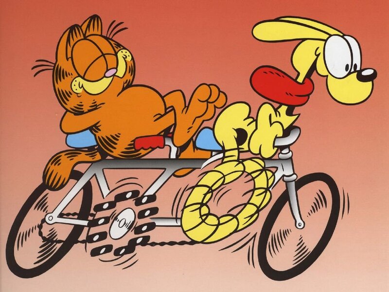 Cat and Dog on Bicycle