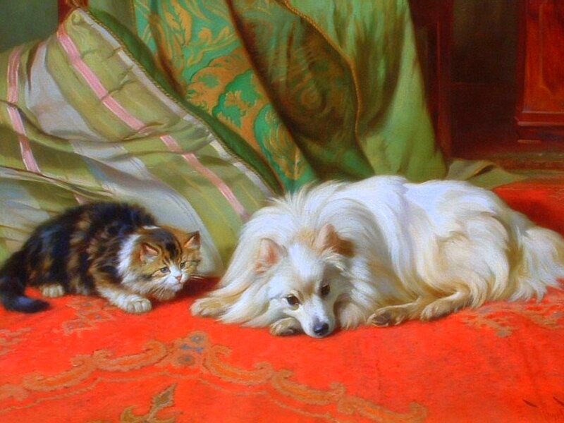 Cat and Dog Resting — Red