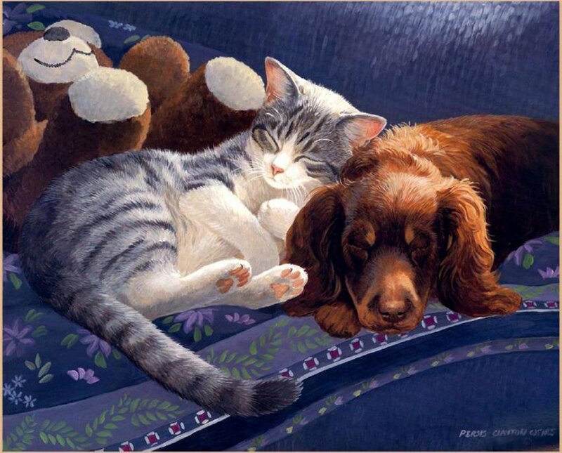 Cat and Dog Sleeping — Blue
