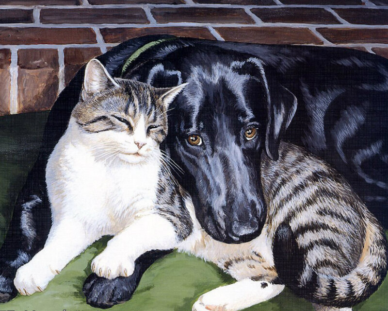 Cat and Dog Together — Black