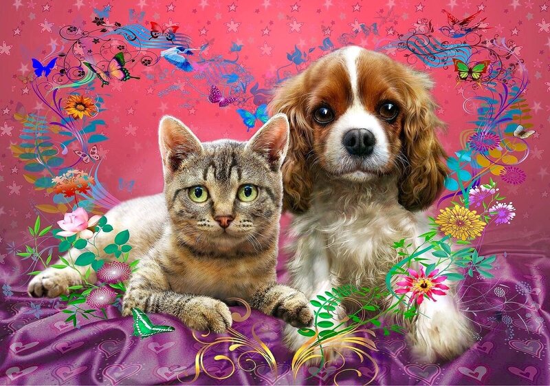 Cat and Dog Together — Pink