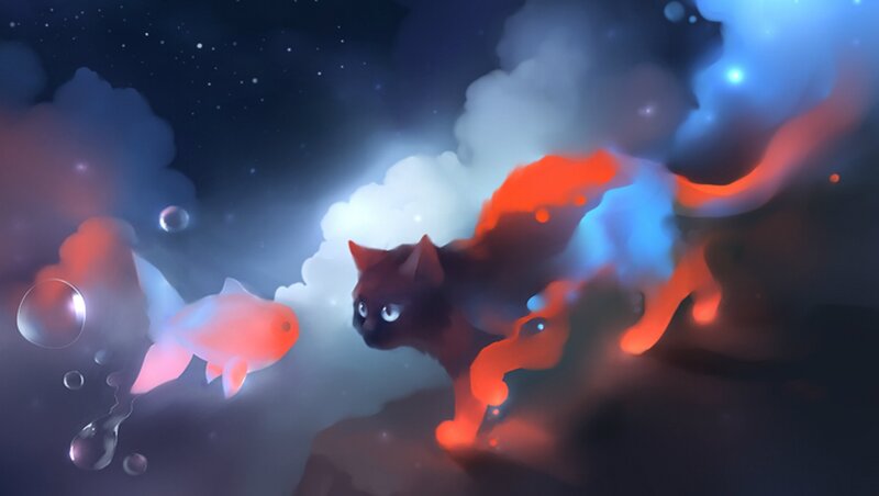 Cat and Fish in Space