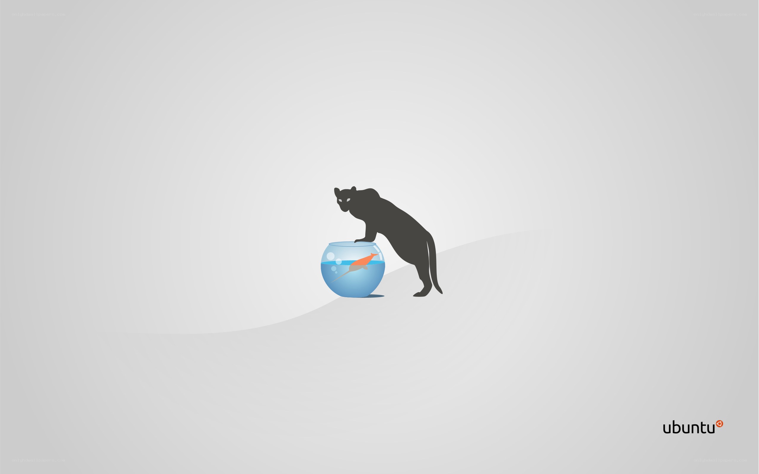 cat and fishbowl illustration
