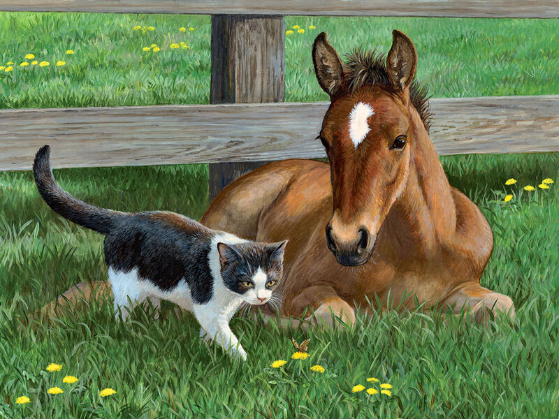 Cat and Foal in Grass