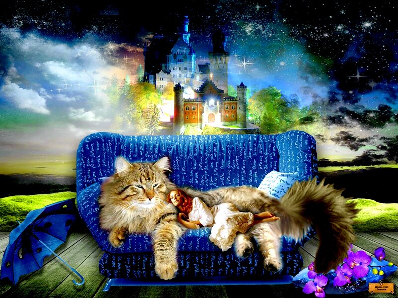 Cat and Girl on Couch