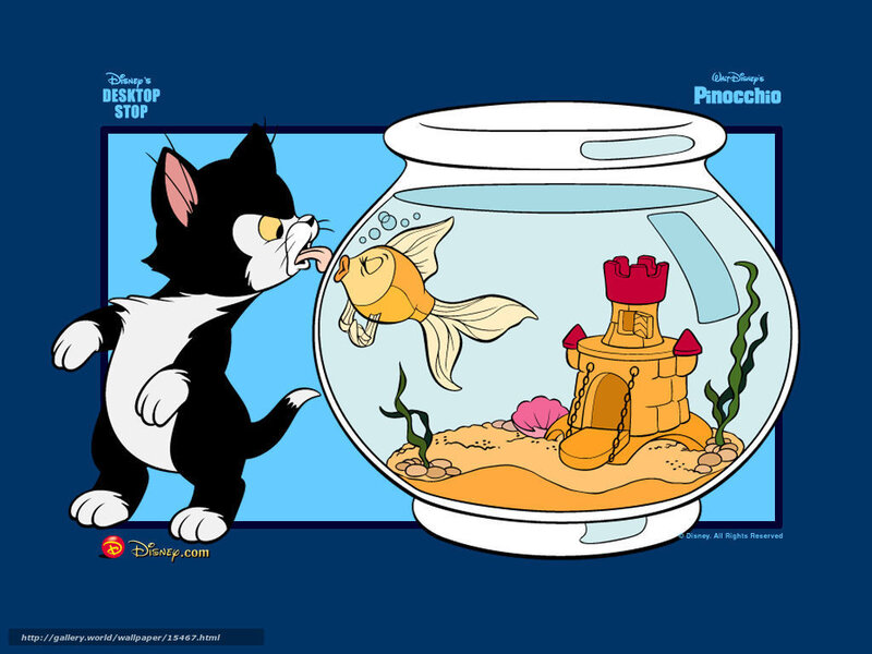 Cat and goldfish in a fishbowl