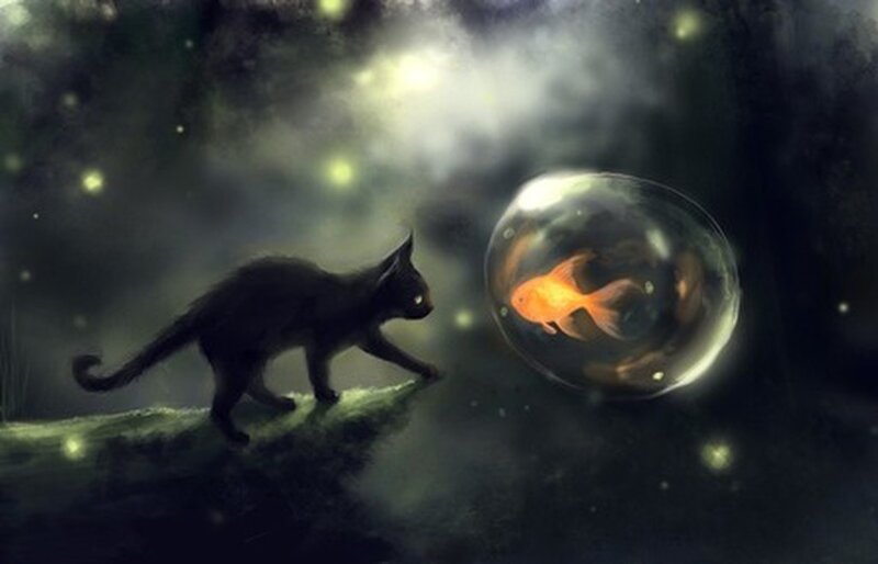 cat and goldfish in dream