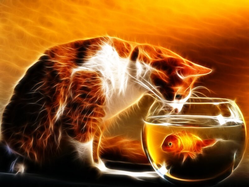 cat and goldfish in glowing art