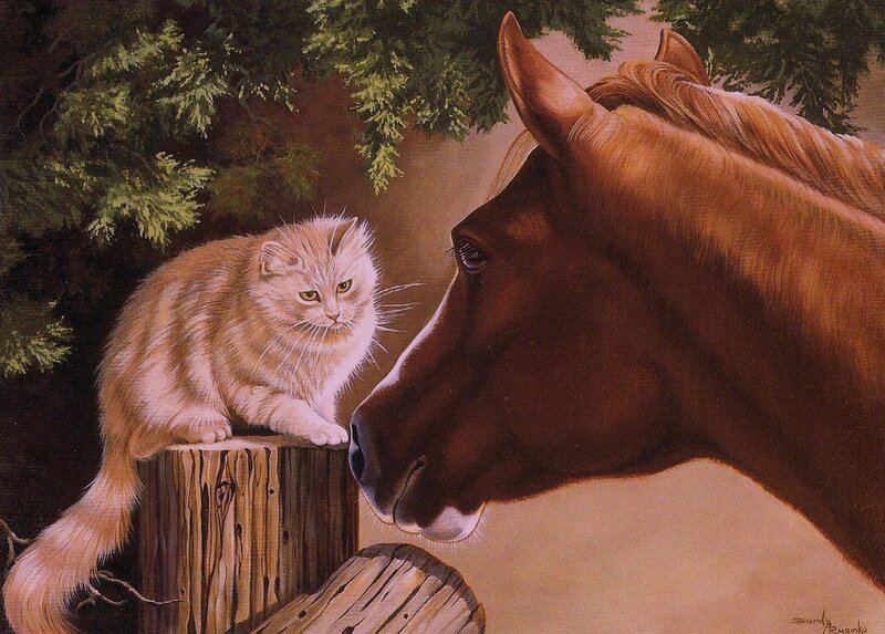 Cat and Horse Interaction