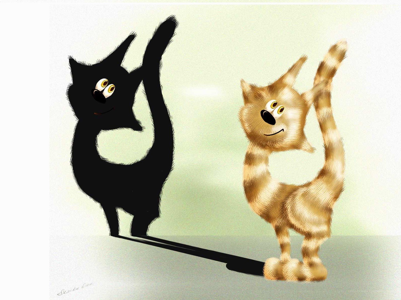 Cat and its shadow