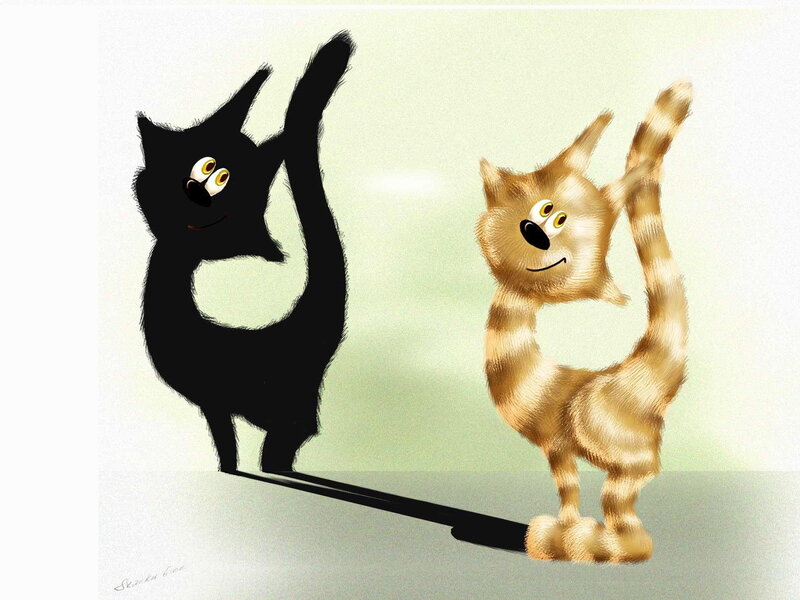 Cat and its shadow