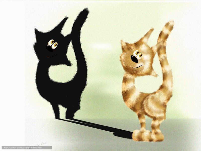 cat and its shadow