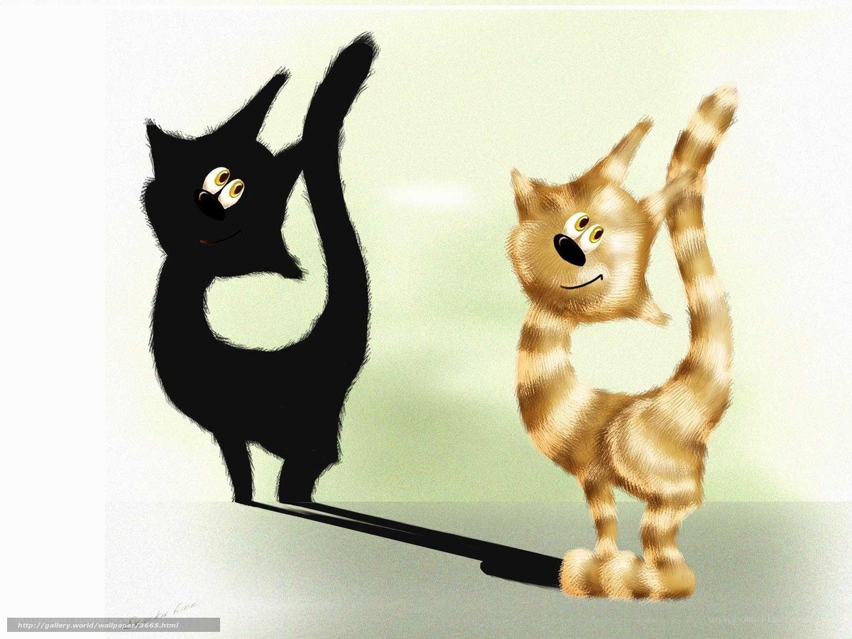 cat and its shadow