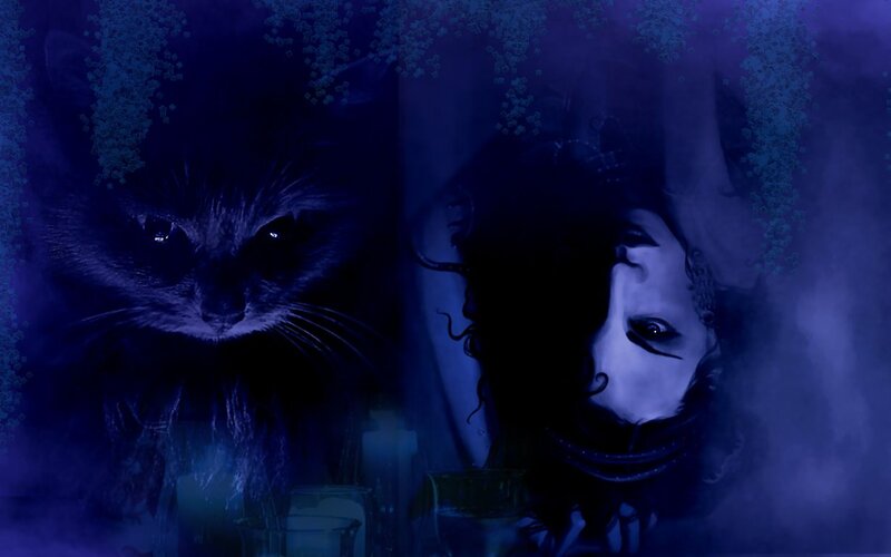 Cat and Masked Person