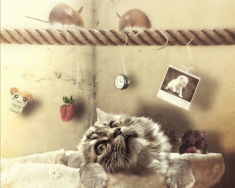 cat and mice in a dreamlike scene