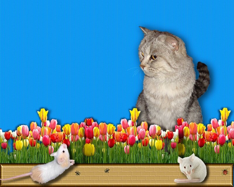 Cat and mice in a flower garden