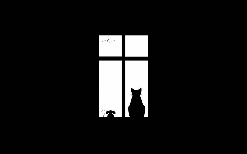 Cat and mouse at the window