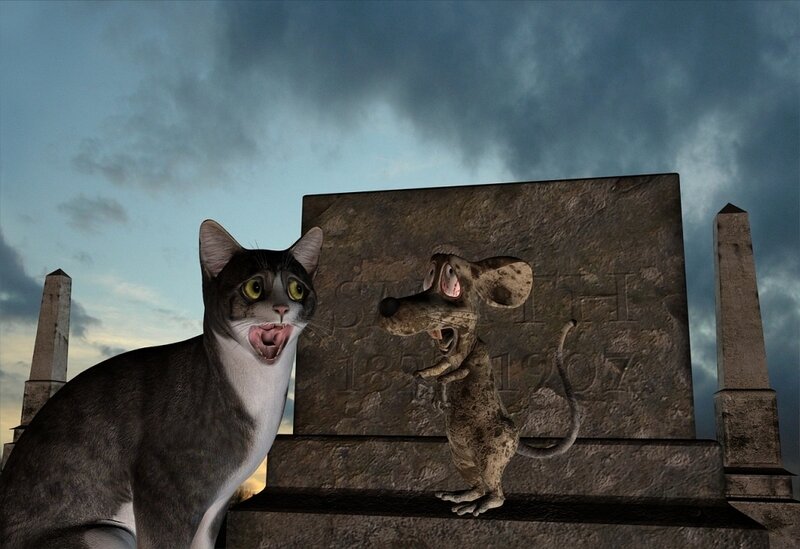 Cat and mouse in a graveyard