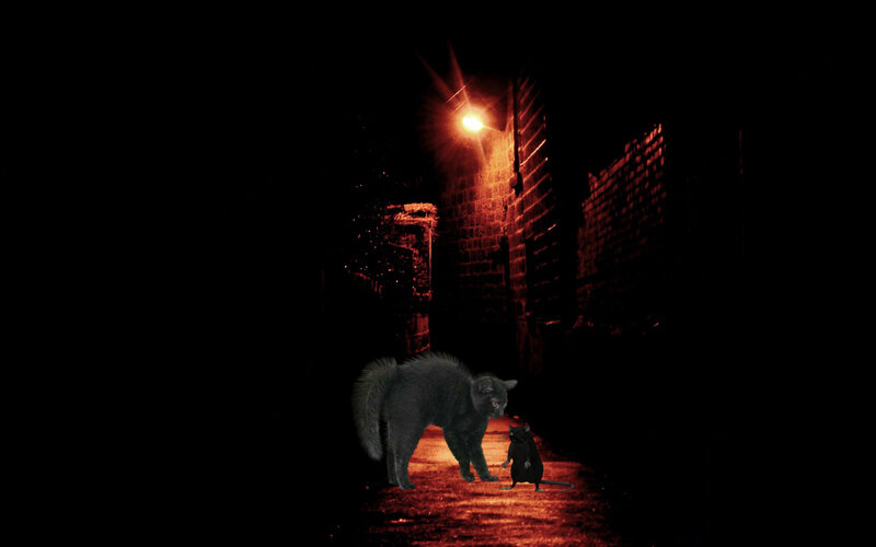 Cat and Mouse in Alley