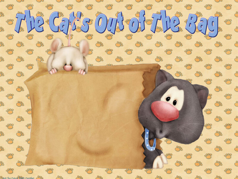 Cat and Mouse in Bag