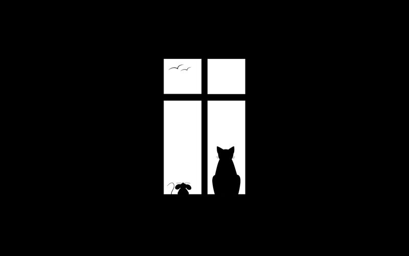 Cat and Mouse Silhouette — Black, Calm, Night