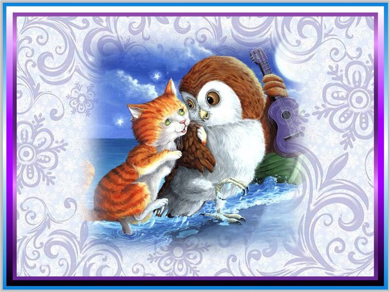 Cat and Owl on Beach