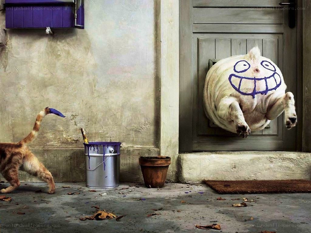 cat and painted pig door