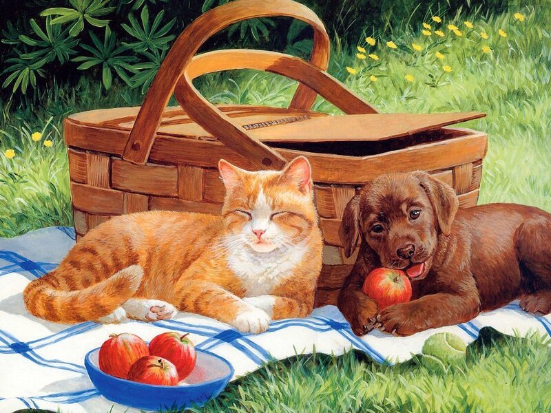 Cat and Puppy on Blanket