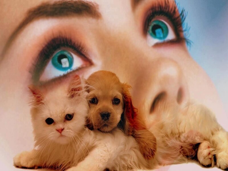 Cat and Puppy with Woman
