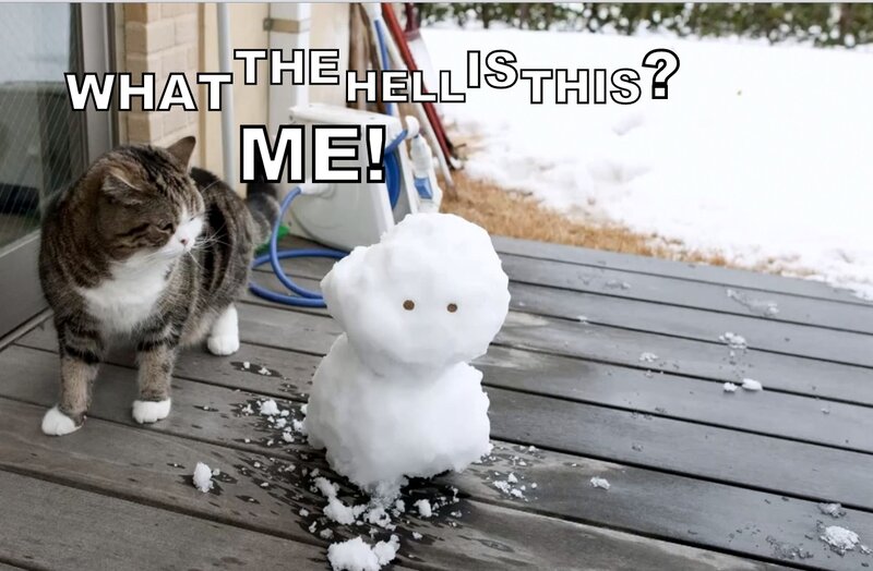 Cat and Snowman