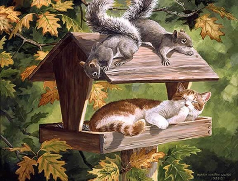 Cat and Squirrels on Feeder