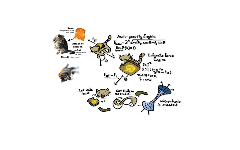 Cat and Toast Diagram