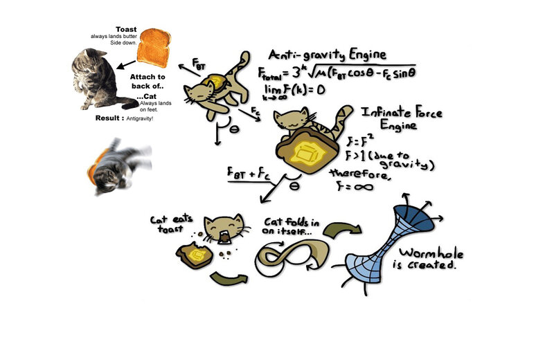 Cat and toast physics