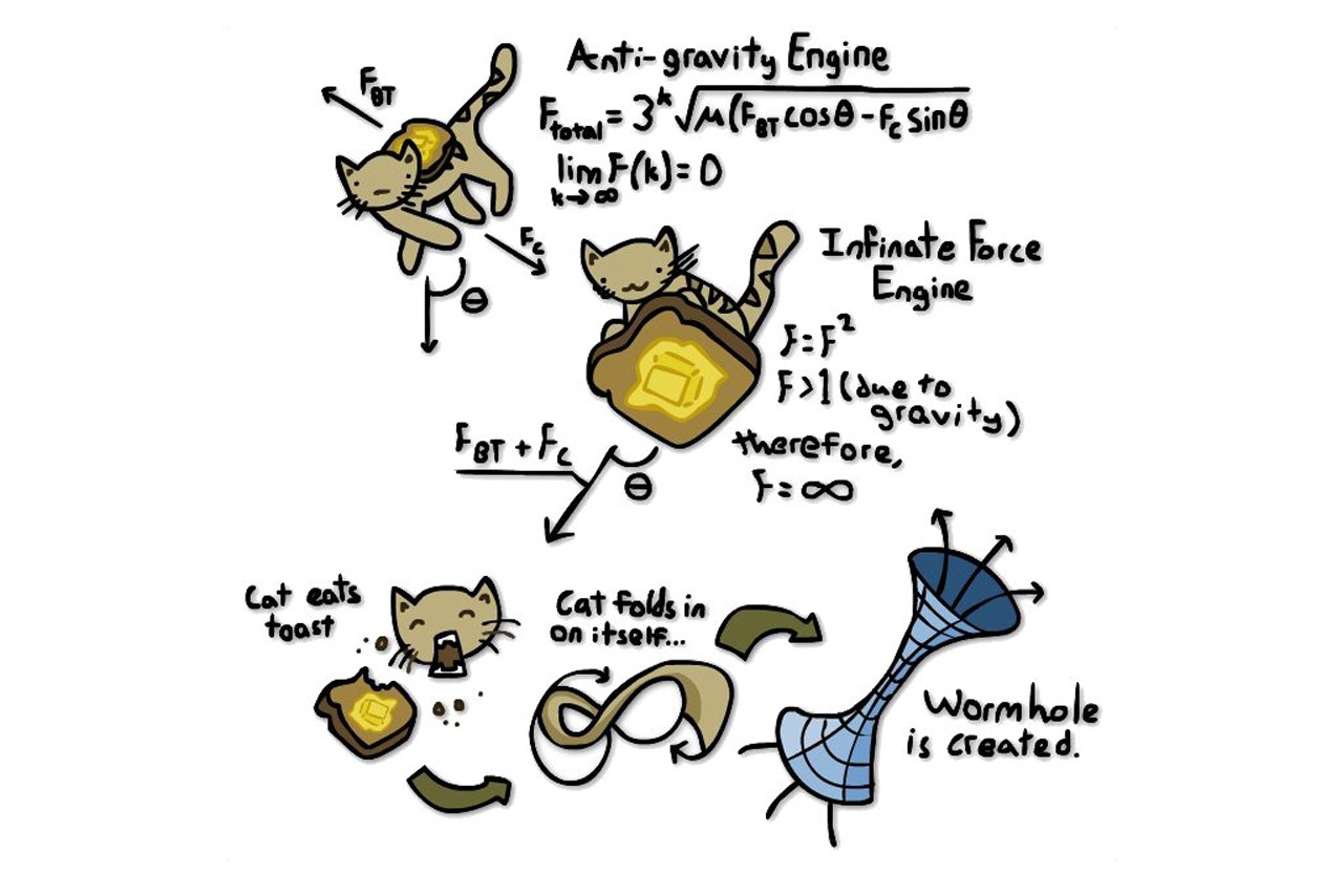 cat and toast physics