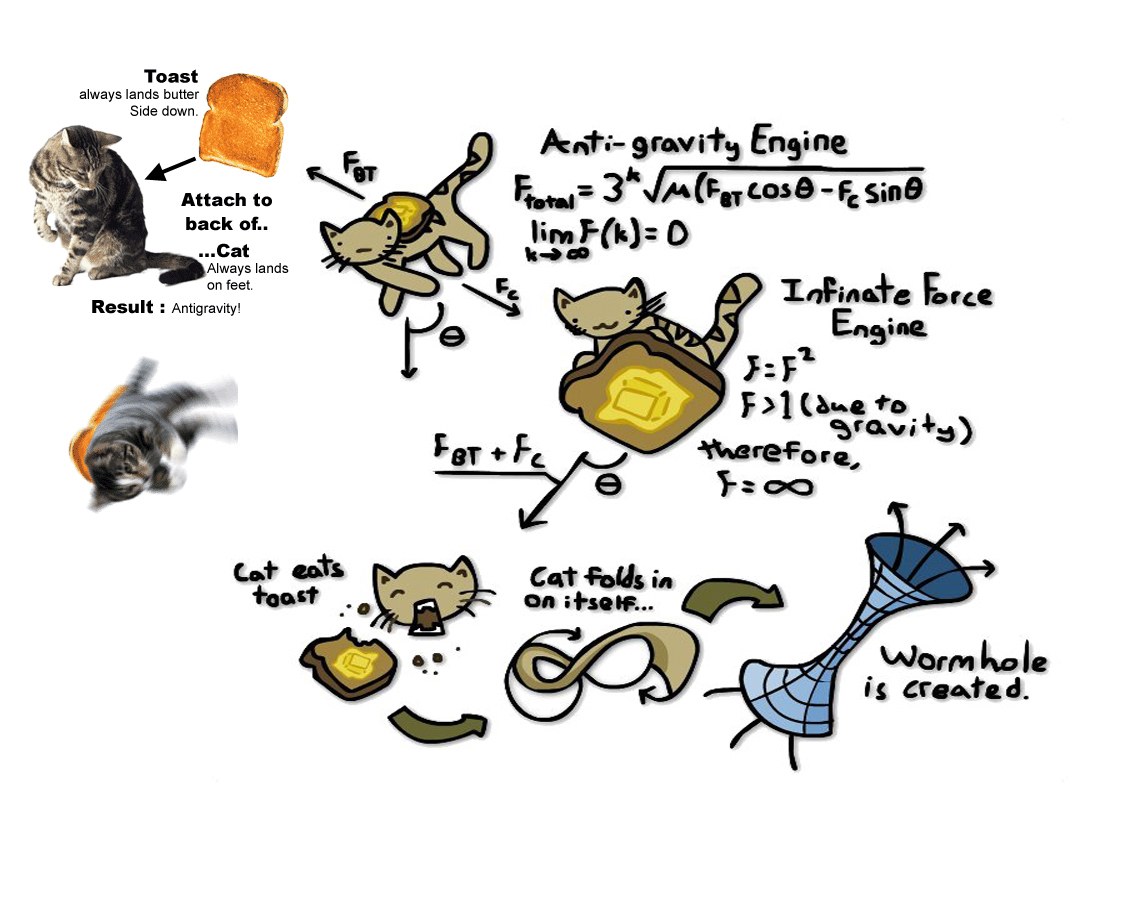Cat and toast physics